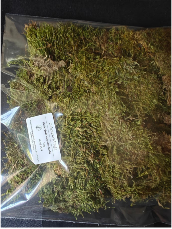 Mech Płaski Naturalny Suchy