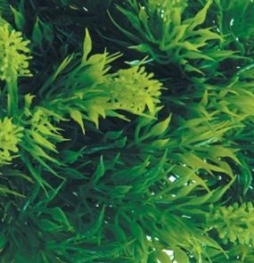 356.jpg ZooMed Roślina sztuczna MALAYSIAN FERN