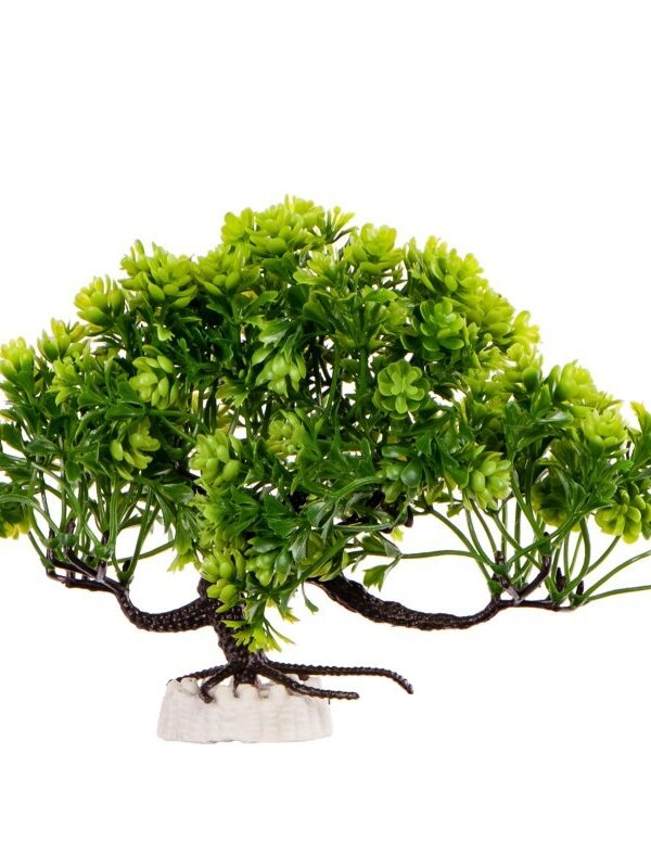 364.jpg Kruger Meier Plant Zen Bonsai – sztuczne drzewko do terrarium i akwarium