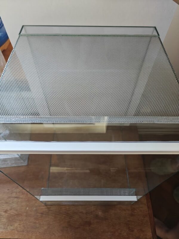 393.jpg Terrarium szklane pionowe 30x30x50