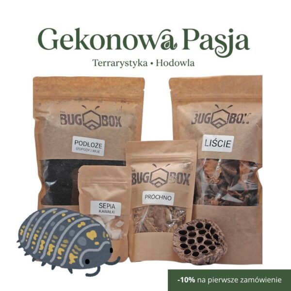 BUG BOX - Zestaw dla Izopodów