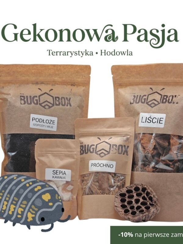 BUG BOX - Zestaw dla Izopodów