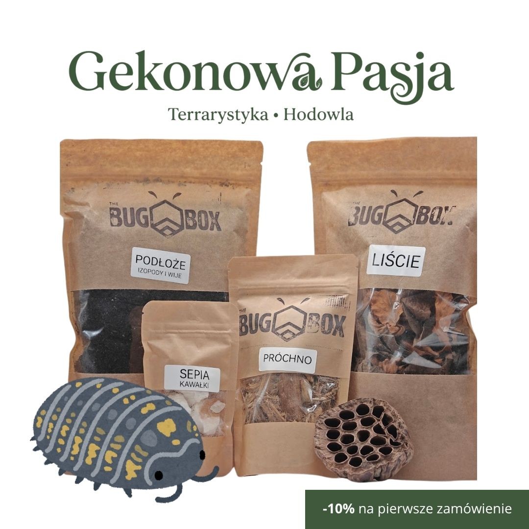 BUG BOX – Zestaw dla Izopodów