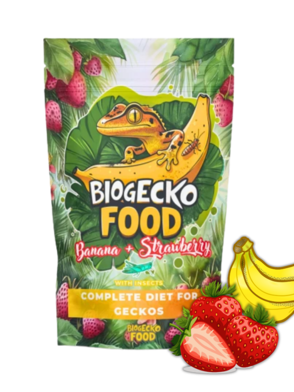 BioGecko Food Banan & Truskawka (Strawberry) – papka dla gekonów