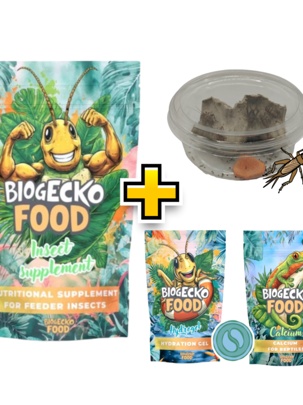 Zestaw Insect Care XL – Hydrogel, Insect Supplement, Calcium + Świerszcze (odbiór osobisty Warszawa)