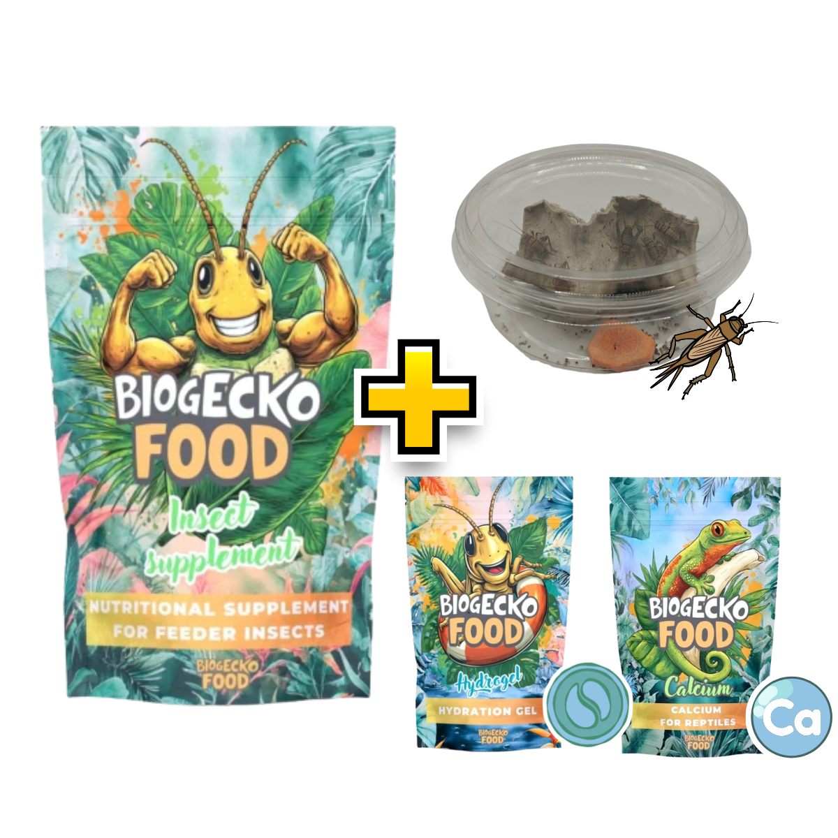 Zestaw Insect Care XL – Hydrogel, Insect Supplement, Calcium + Świerszcze (odbiór osobisty Warszawa)