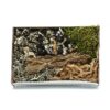 524.jpg BioSet Tropical – zestaw detailingowy do terrarium wilgotnych