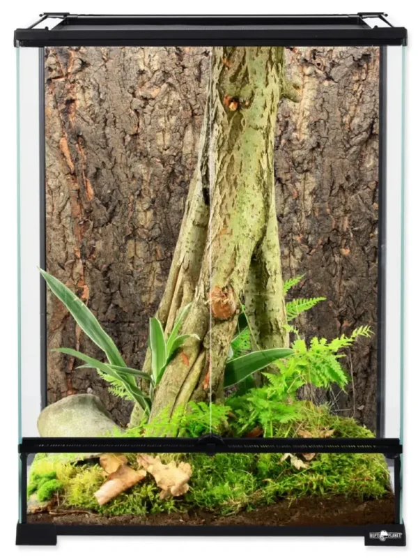 531.webp Terrarium Repti Planet 45x45x60 - Warszawa