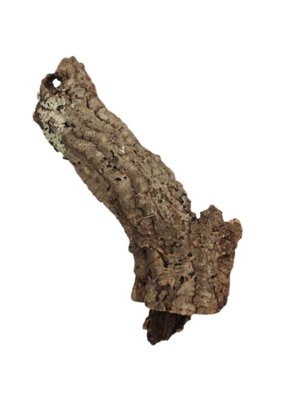 562.jpg BioCork Tuba korkowa S - średnica około 4 cm