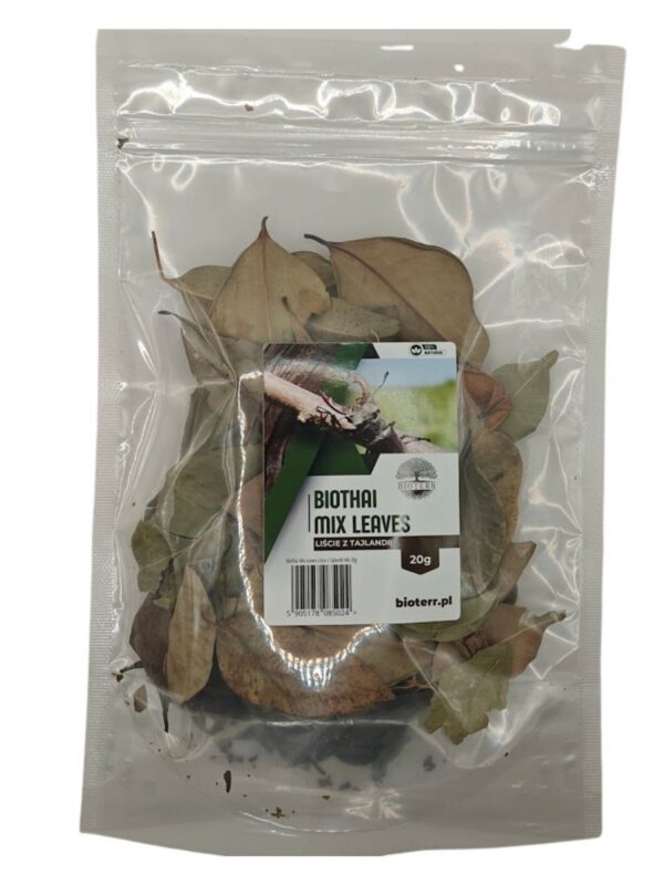 583.jpg BioThai Mix – liście z Tajlandii do terrarium 20g