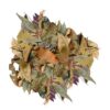 584.jpg BioThai Mix – liście z Tajlandii do terrarium 20g