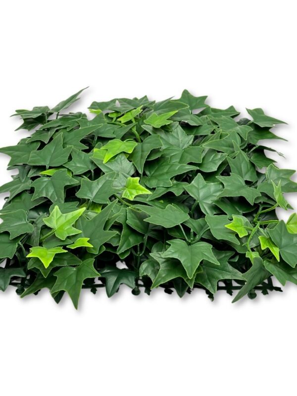 603.jpg BioPlant Background Ivy – modułowe tło z bluszczem do terrarium