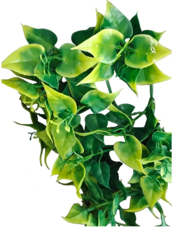 289.webp Roślina Amapallo S 32 cm EXO TERRA