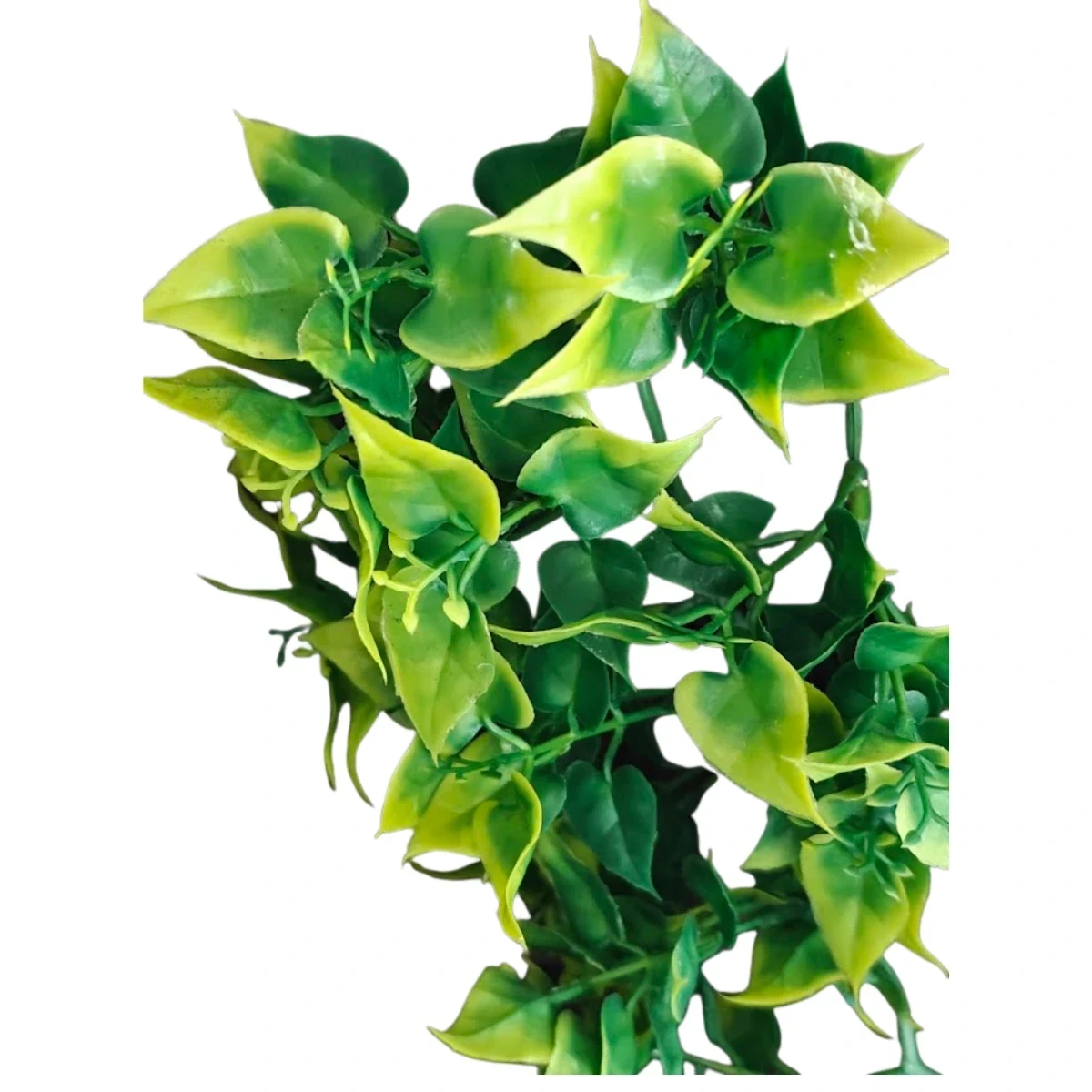 Roślina Amapallo S 32 cm EXO TERRA