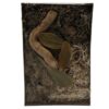 BioSet Desert – zestaw detailingowy do terrarium suchego