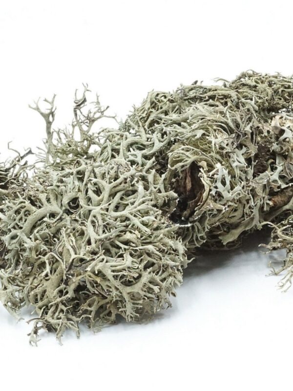 BioGrey Lichen - Porost szary 25g
