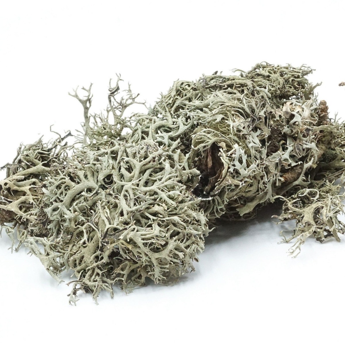 BioGrey Lichen – Porost szary 25g