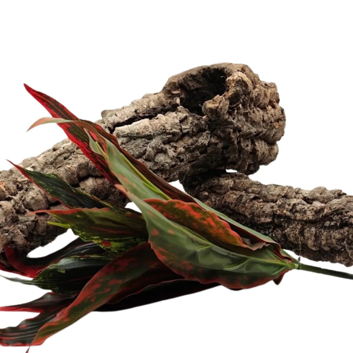 Sztuczna roślina Aglaonema czerwona – ok. 32 × 28 cm