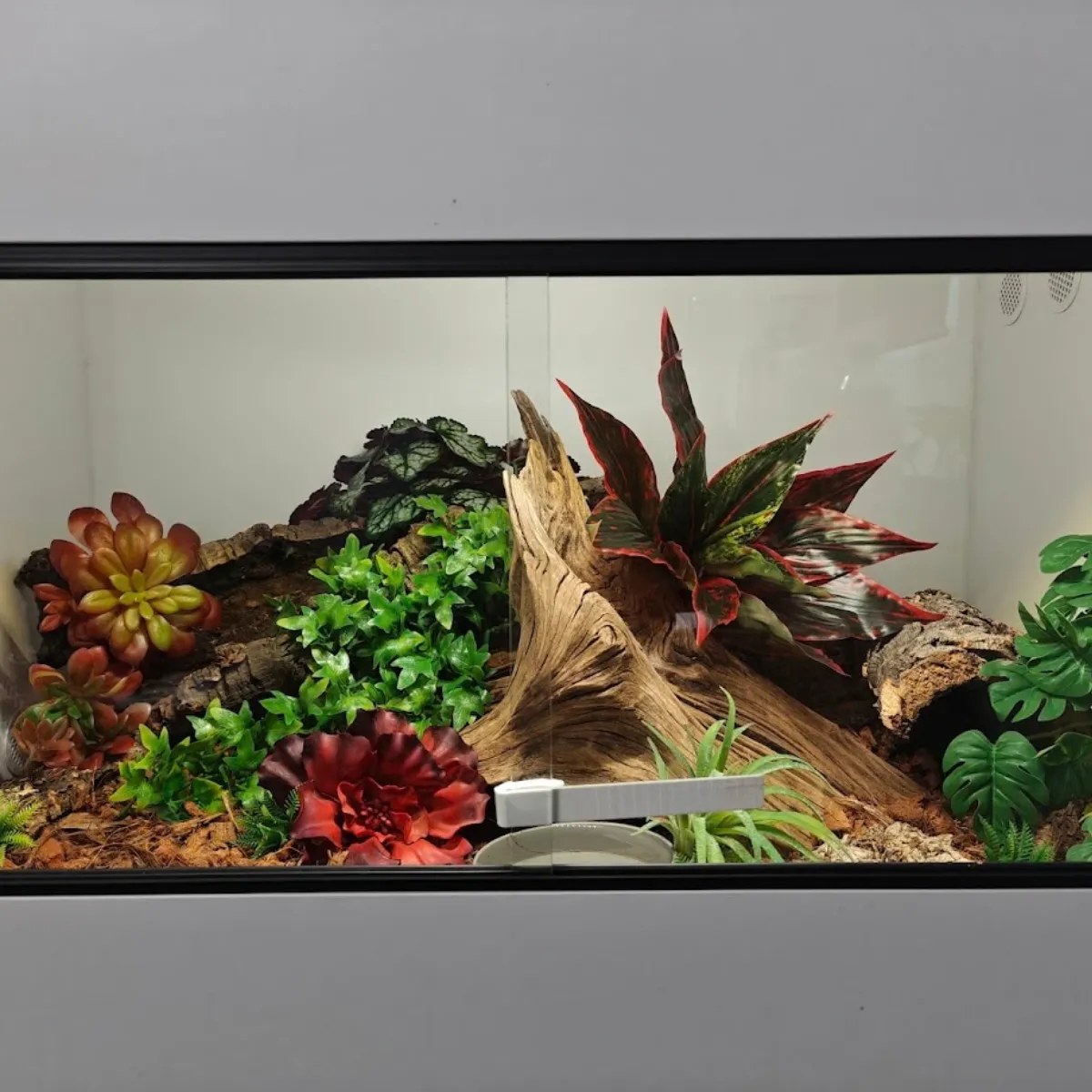 Sztuczna roślina Aglaonema czerwona – ok. 32 × 28 cm