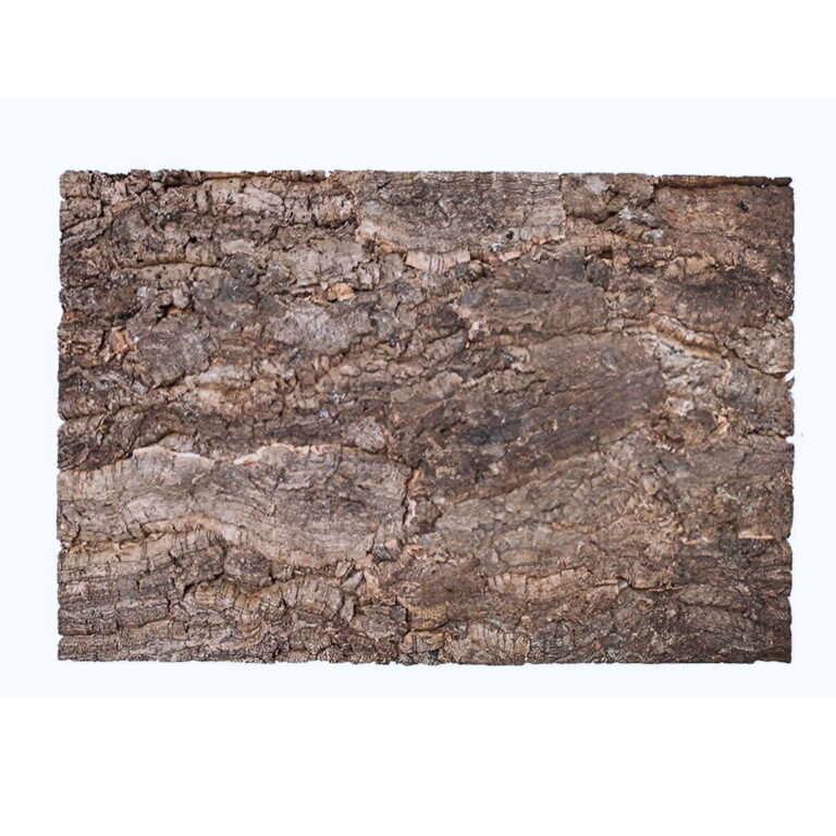 BioVirgin Cork Background Grey – szare tło korkowe do terrarium