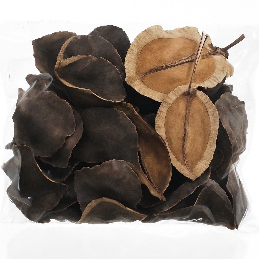 Exo Planet Jacaranda Split – łupiny jakarandy do terrarium 40 g