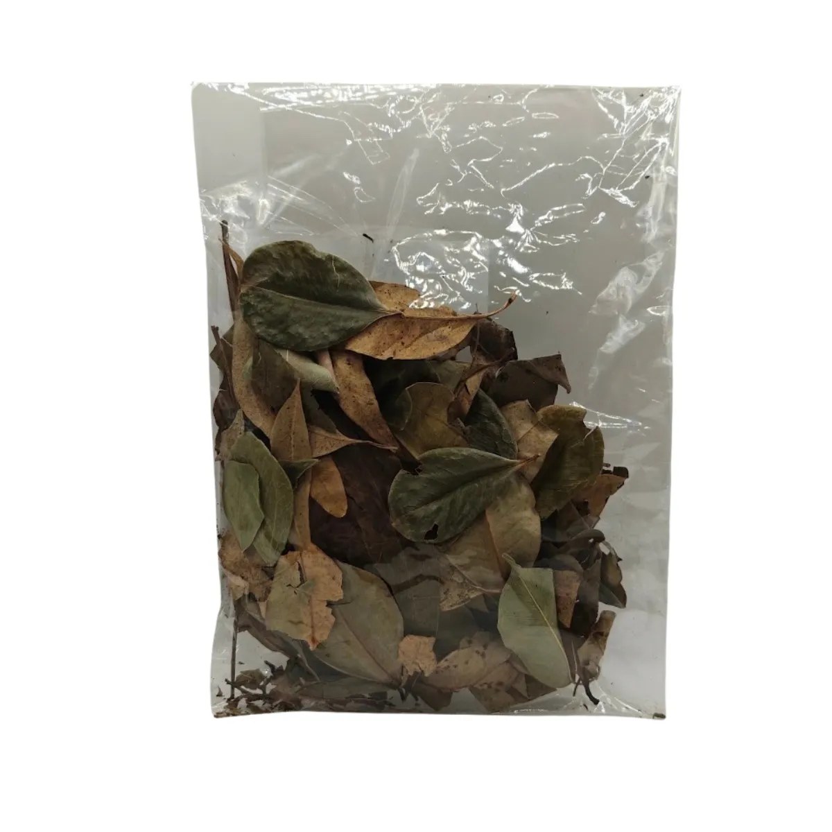 Exo Planet Jungle Mix Leaves – liście z dżungli do terrarium 20 g