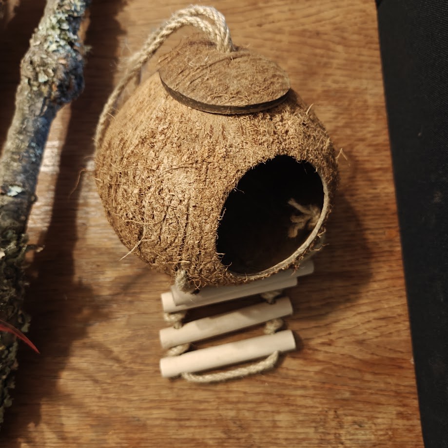 Kokos – wisząca kryjówka do terrarium, duży i mały
