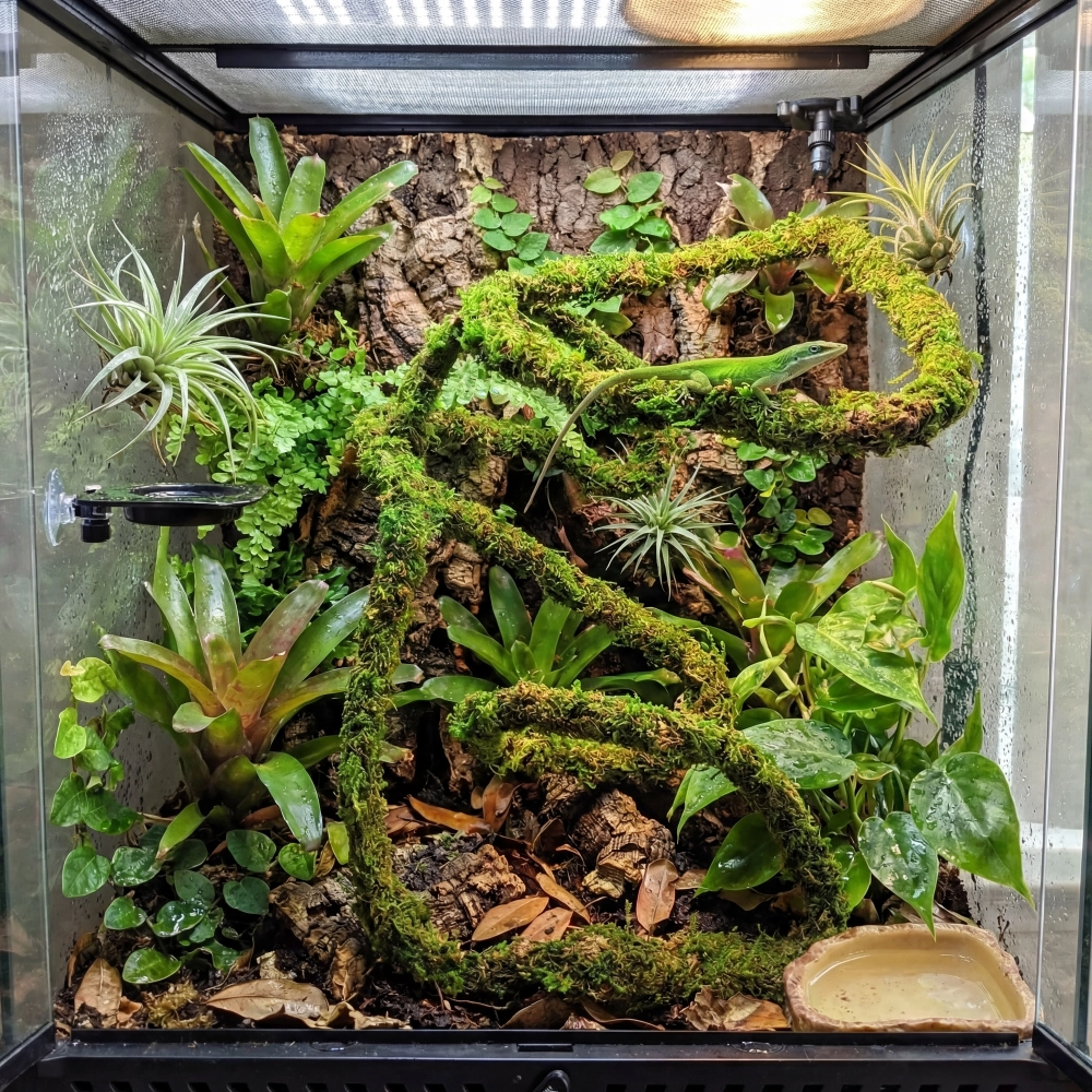 BioBranch Green Moss – liana z mchem 200 cm do terrarium