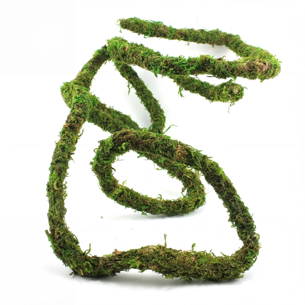 BioBranch Green Moss – liana z mchem 200 cm do terrarium