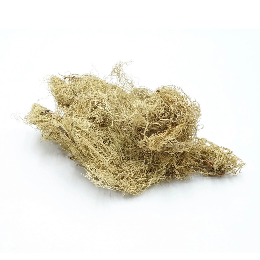 BioRock Moss – mech skalny 25g