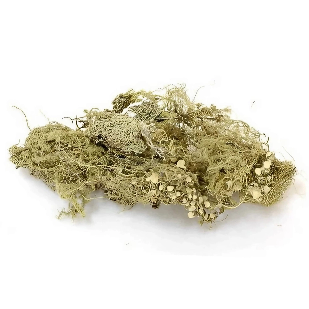 BioRock Moss – mech skalny 25g