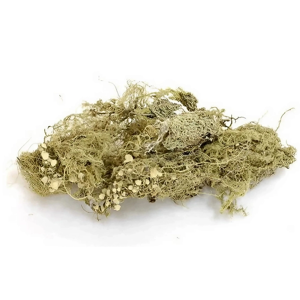 BioRock Moss – mech skalny 25g