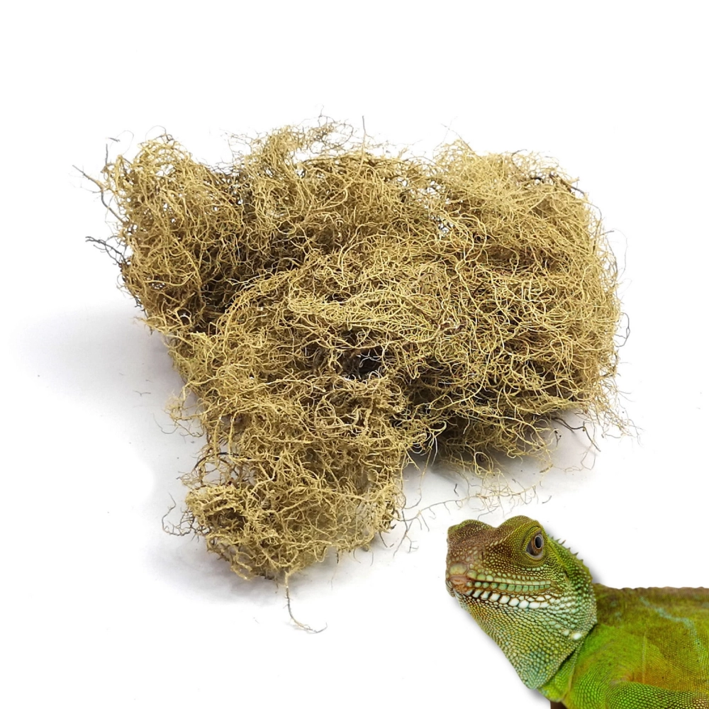BioRock Moss – mech skalny 25g