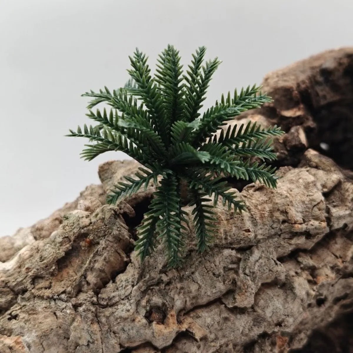 Mini sztuczna palemka do terrarium – ok. 6 × 6 cm