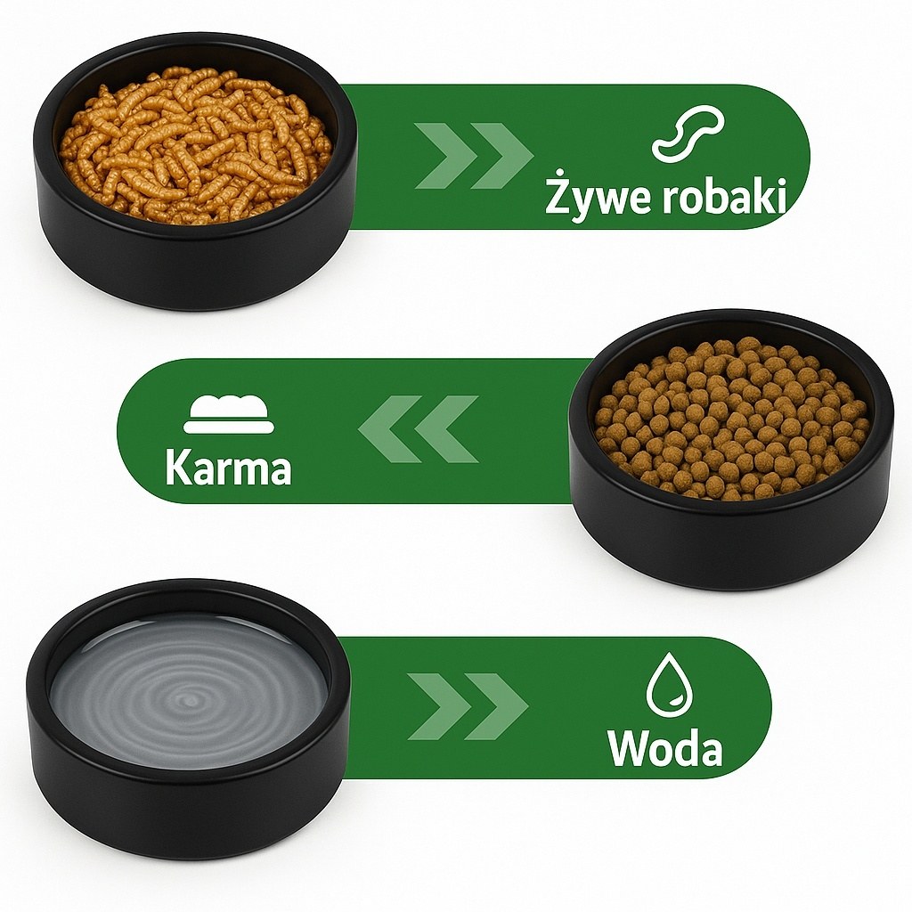 Exo Planet Miska ceramiczna antyucieczkowa – S, M, L, czarna lub biała