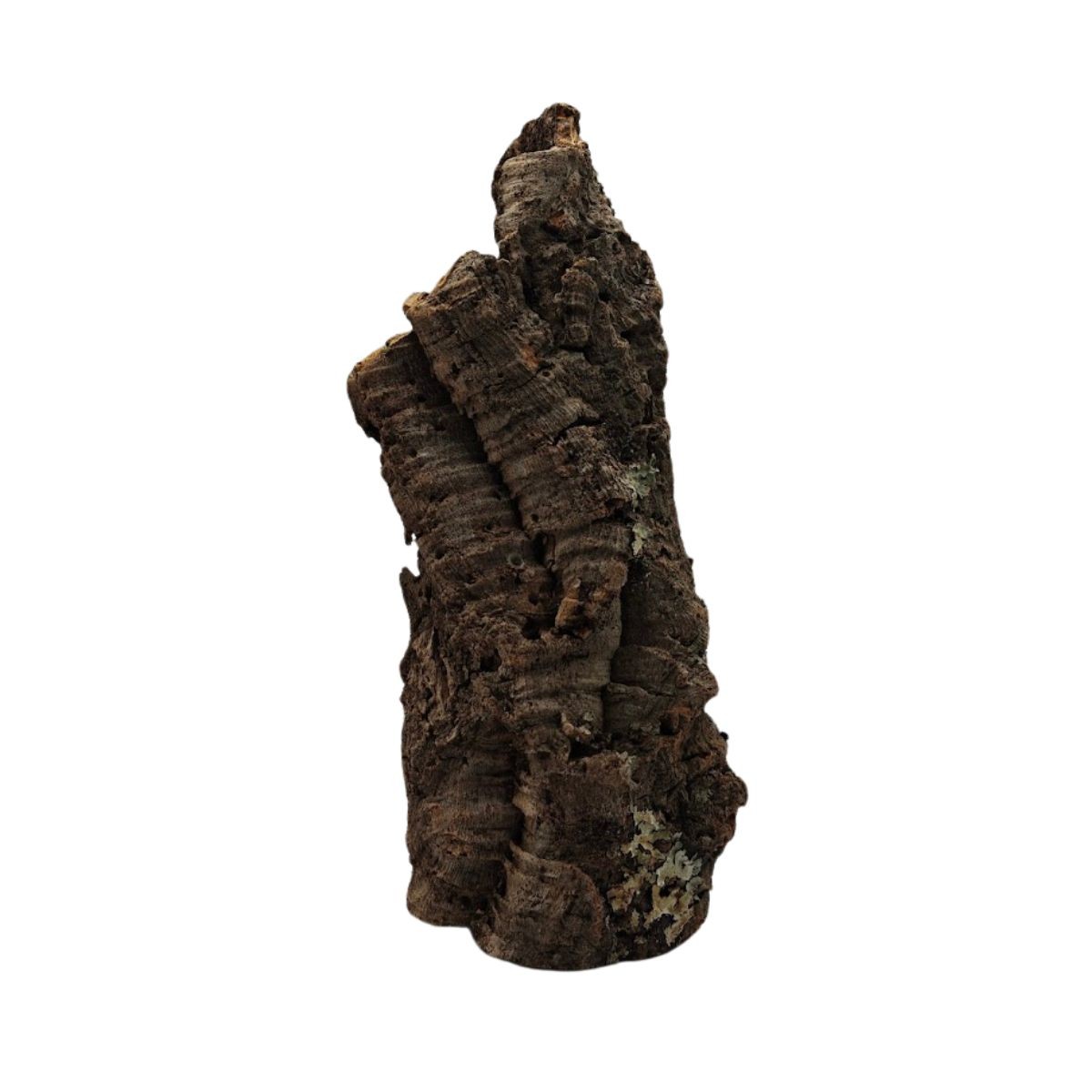 Naturalna tuba korkowa do terrarium – duża XL