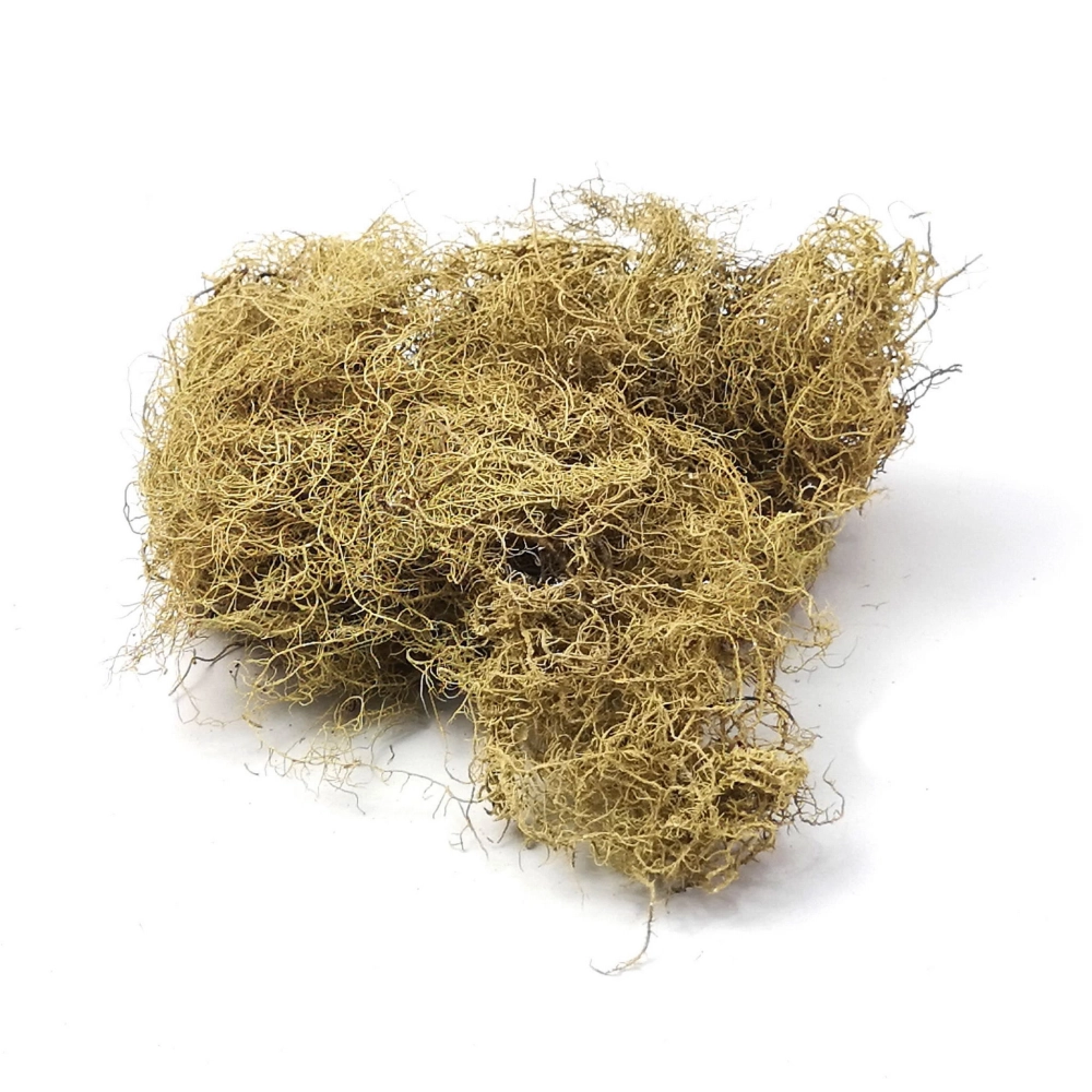 BioRock Moss – mech skalny 25g