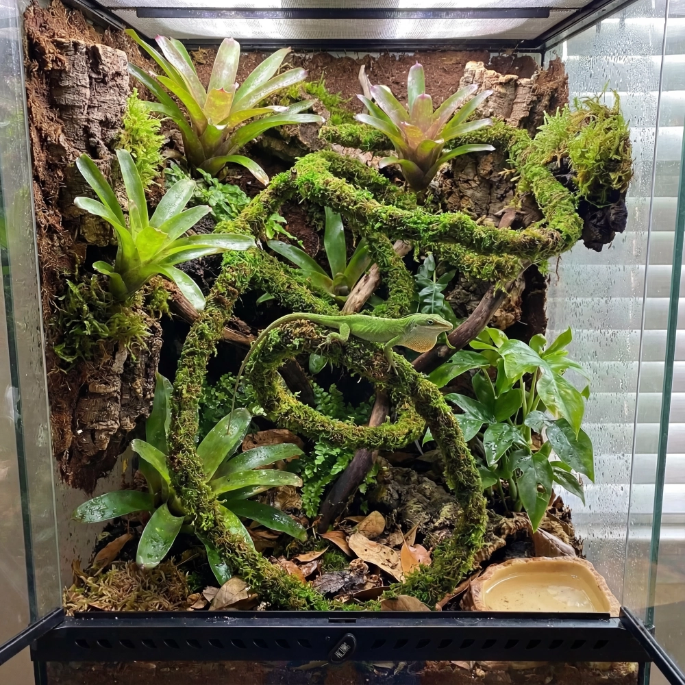 BioBranch Green Moss – liana z mchem 200 cm do terrarium