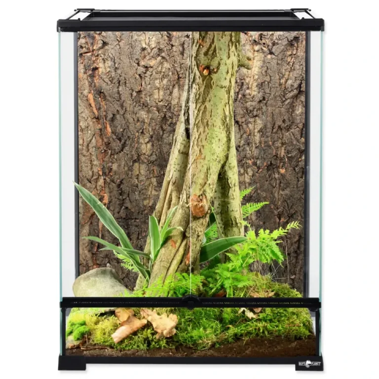 Terrarium Repti Planet 30X30X45 - Warszawa