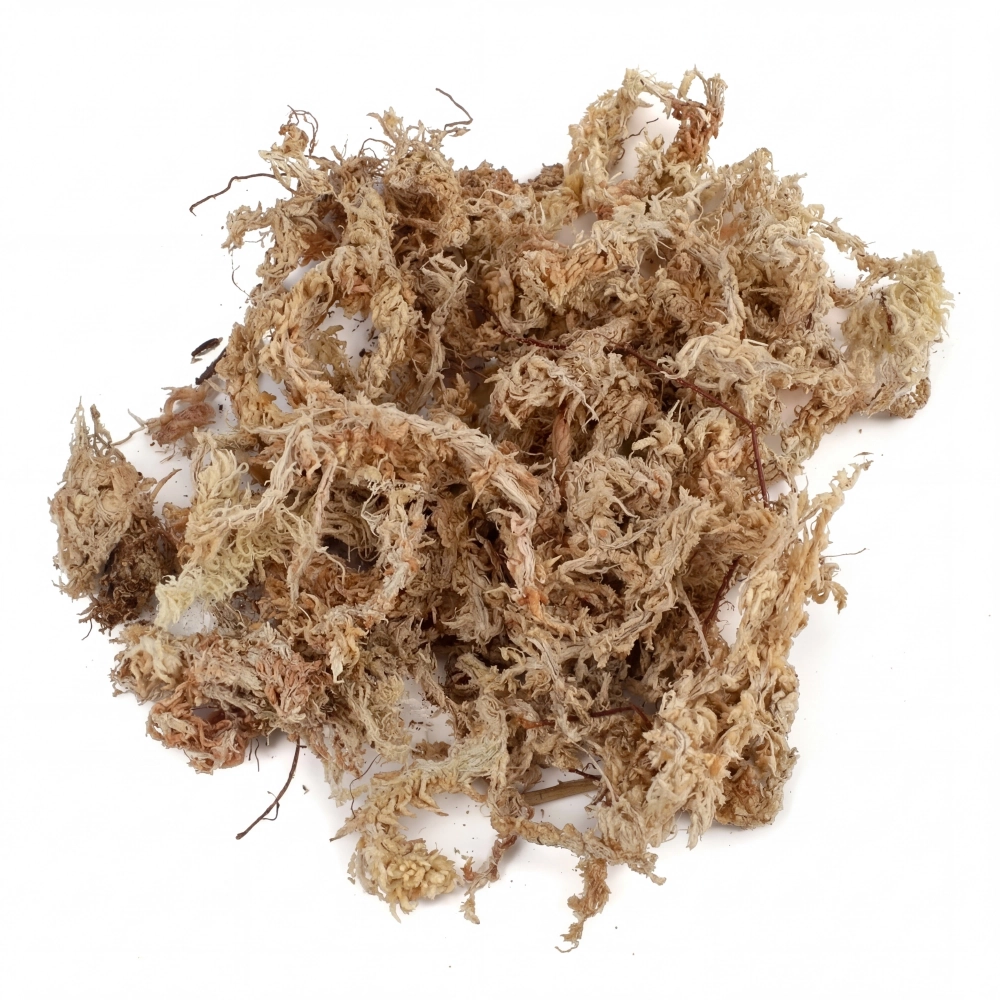Mech torfowiec sphagnum chilijski 2 l – BioBase Sphagnum Moss Chile
